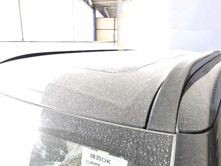 2026 Nissan Patrol SE Platinum City	 