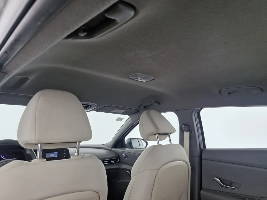 2023 Hyundai Elantra Fleet 