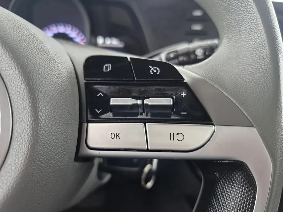 2021 Hyundai Elantra Fleet 