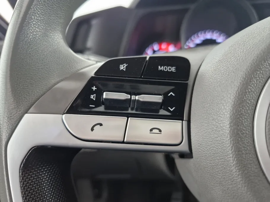 2021 Hyundai Elantra Fleet 