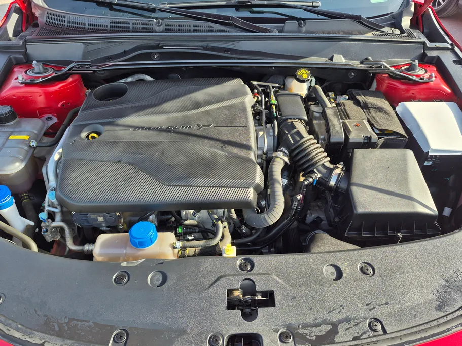 شانجان يوني في Elite 2024 