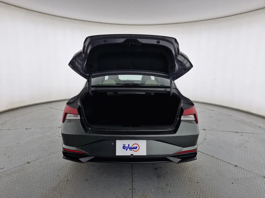 2021 Hyundai Elantra Fleet 