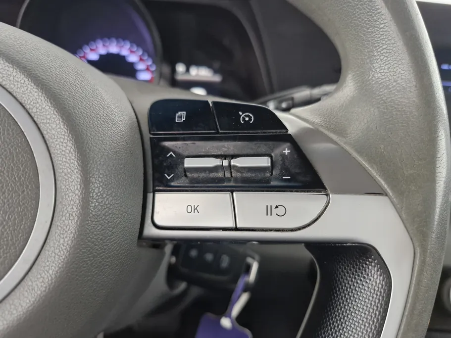 2021 Hyundai Elantra Fleet 