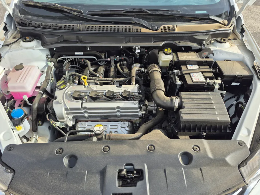 شانجان السفن Full Option 2026 