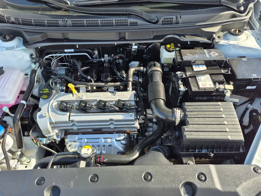 شانجان السفن Full Option 2026 