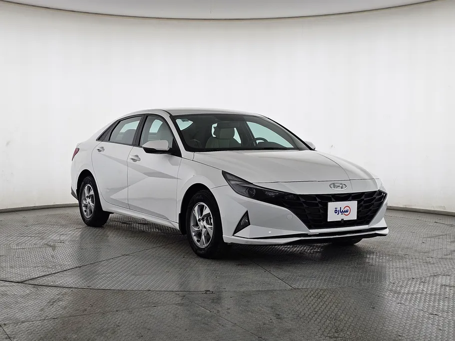 2021 Hyundai Elantra Fleet 