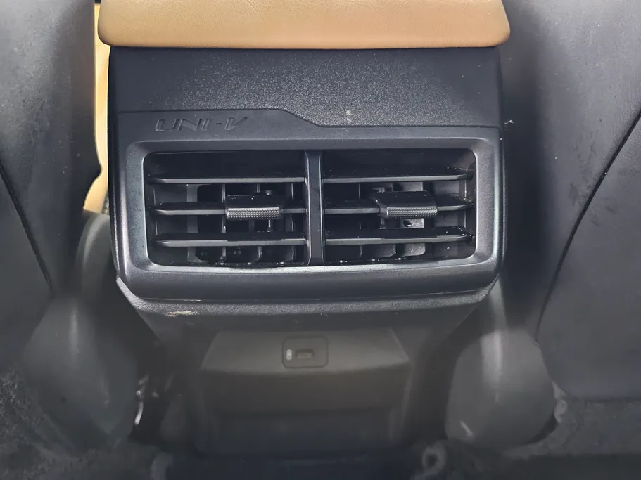 شانجان يوني في Elite 2024 