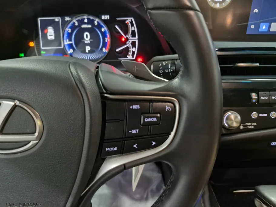 2025 Lexus ES 250 AA Elegant 