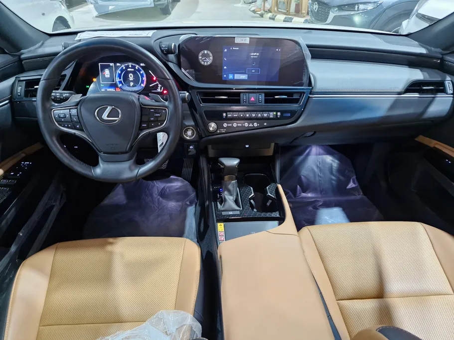 2025 Lexus ES 250 AA Elegant 
