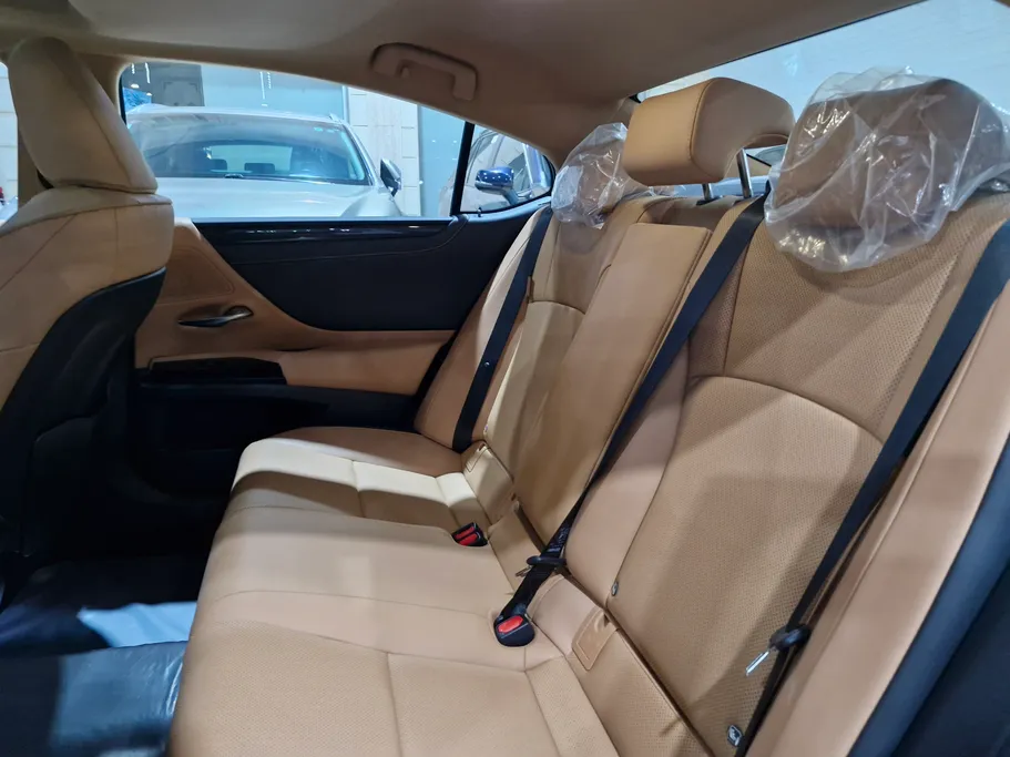 2025 Lexus ES 250 AA Elegant 
