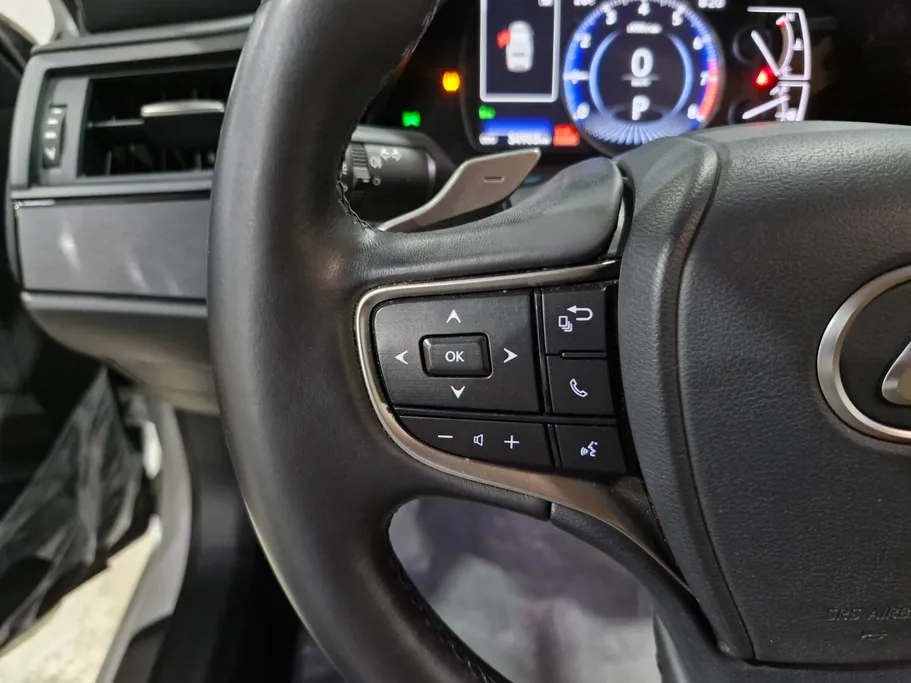 2025 Lexus ES 250 AA Elegant 