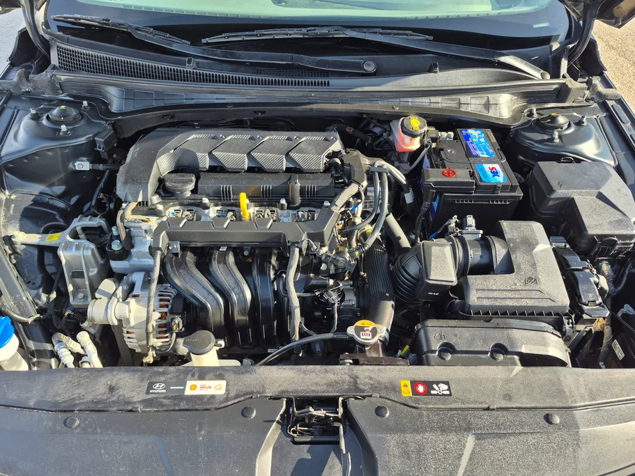 2023 Hyundai Elantra Fleet 