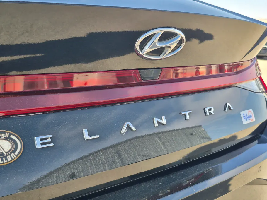 2023 Hyundai Elantra Fleet 