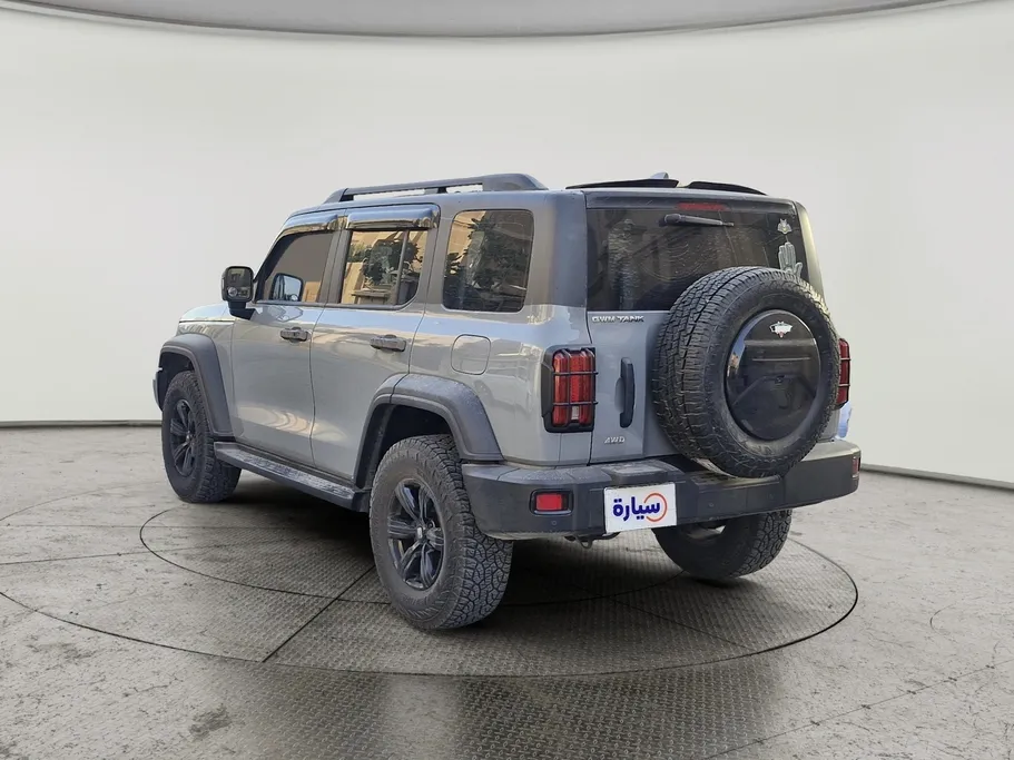 جريت وول تانك 300 تشالنجر 2025 