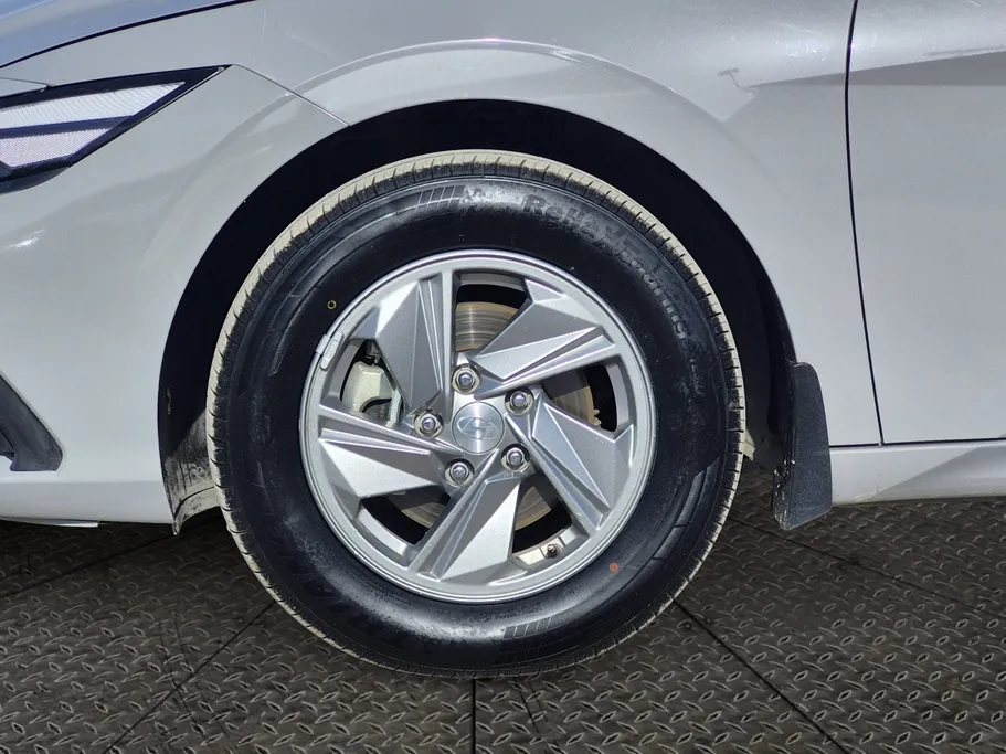 2024 Hyundai Elantra Fleet 