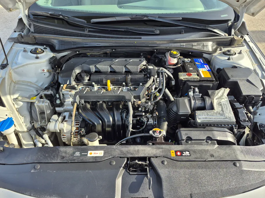 2024 Hyundai Elantra Fleet 