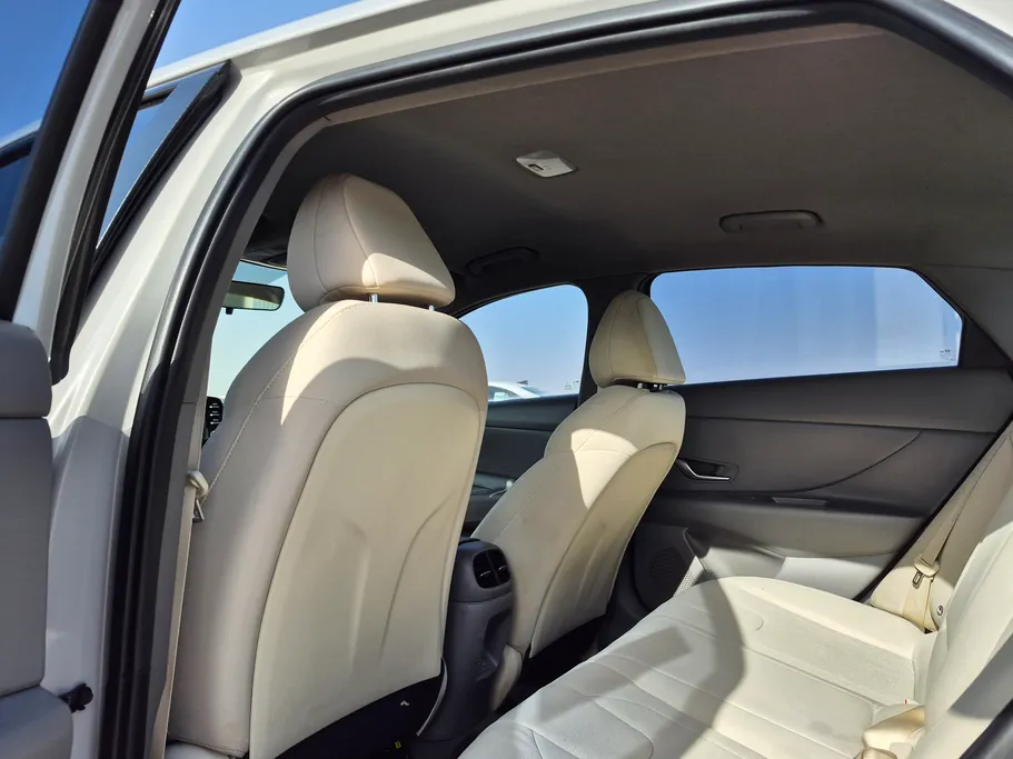 2024 Hyundai Elantra Fleet 