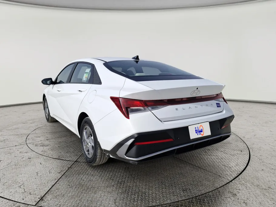 2024 Hyundai Elantra Fleet 