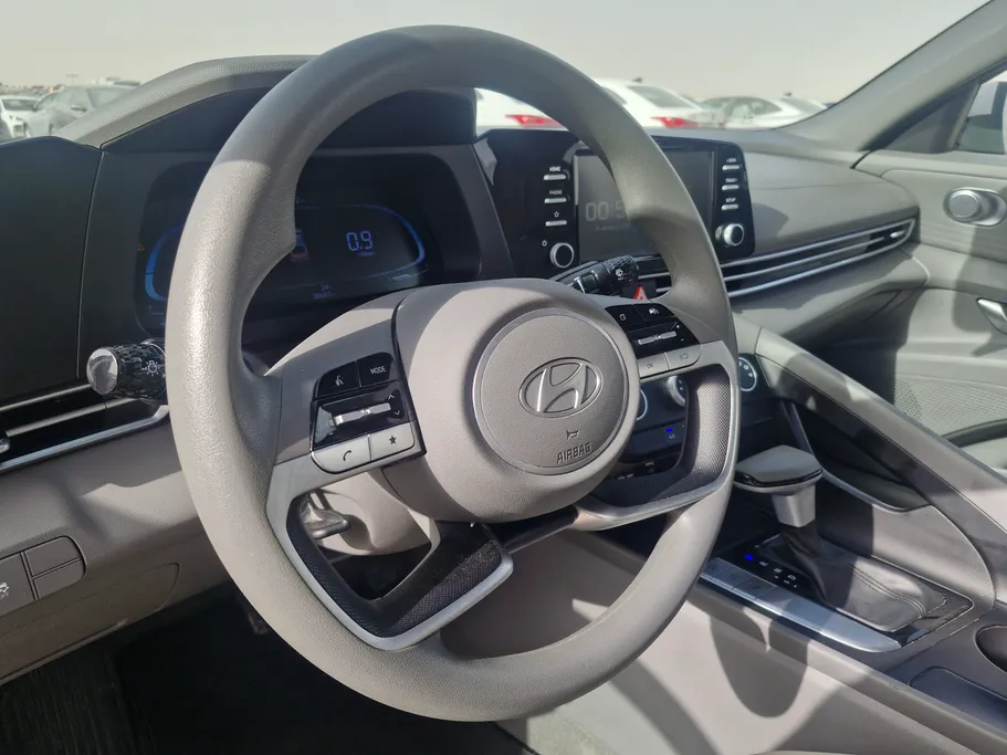 2024 Hyundai Elantra Fleet 