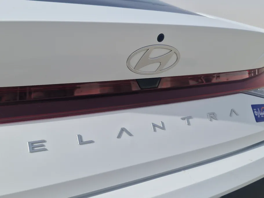 2024 Hyundai Elantra Fleet 