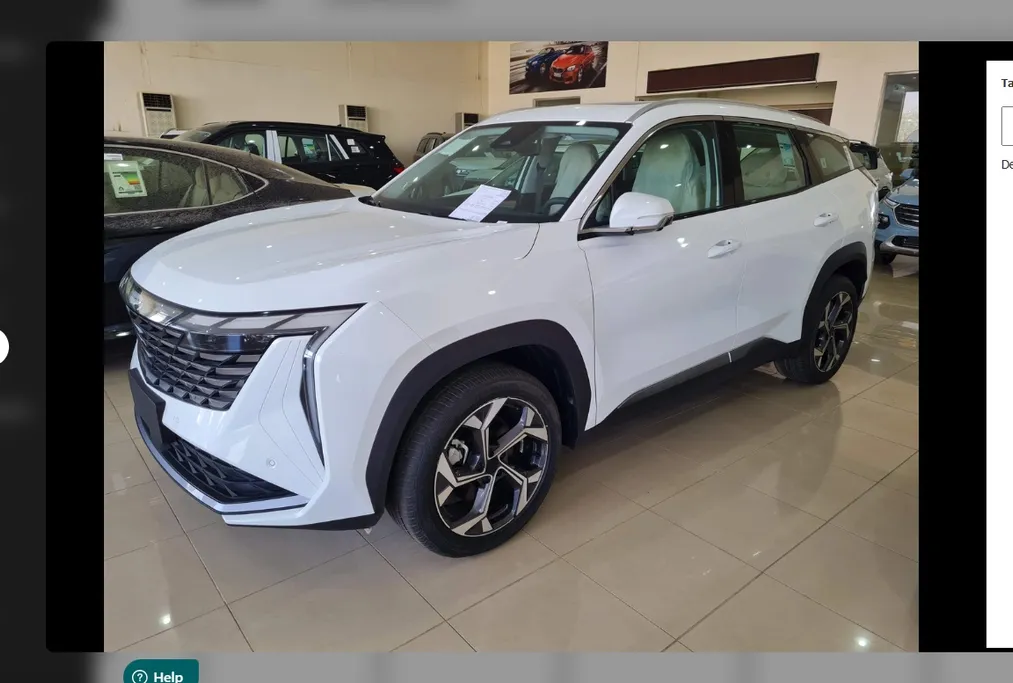 جيلي ستار راي جي إف 2024 