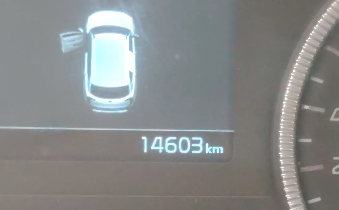 كيا تيلورايد EX 2021 