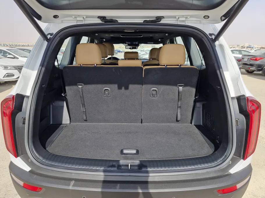 كيا تيلورايد EX 2021 