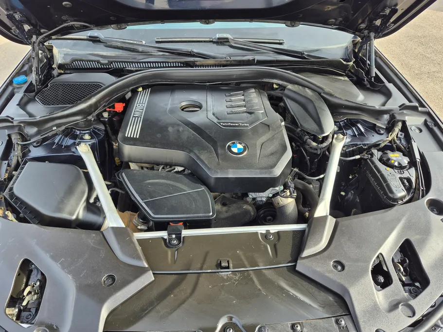 2020 BMW 5 Series 520i 