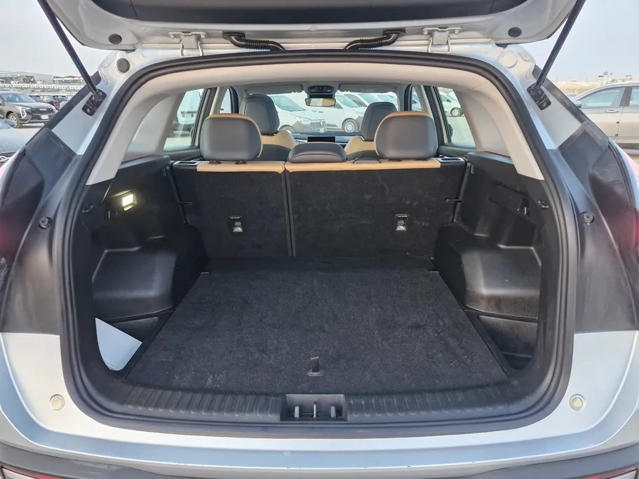 2024 Geely StarRay GK 