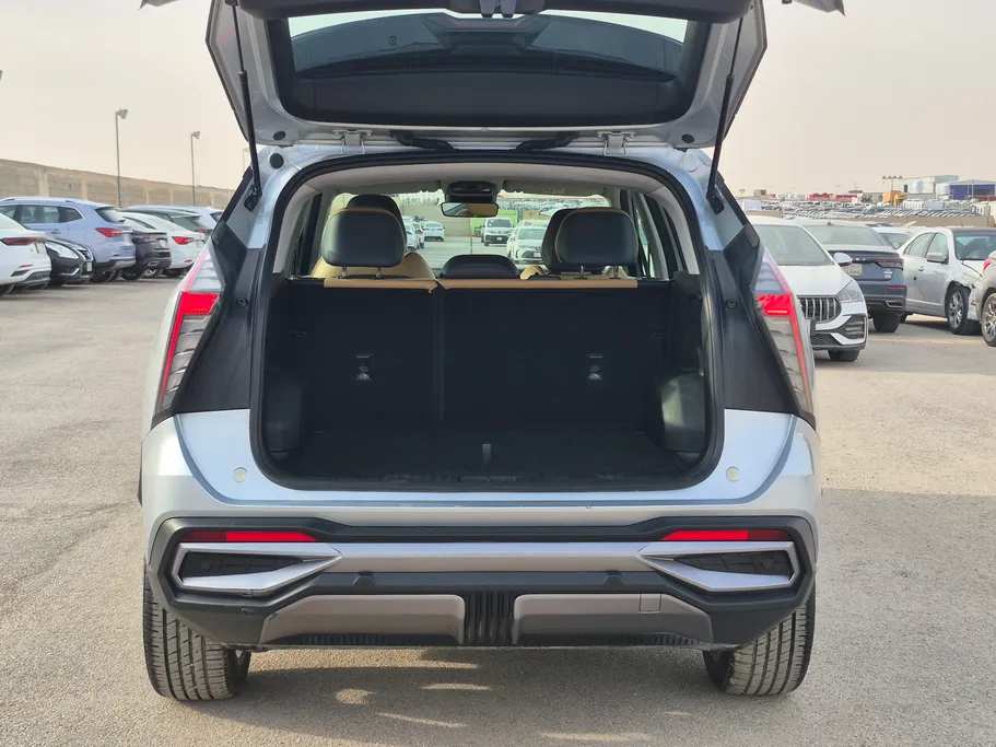 2024 Geely StarRay GK 