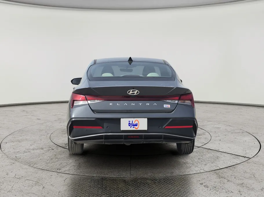 2024 Hyundai Elantra Fleet 