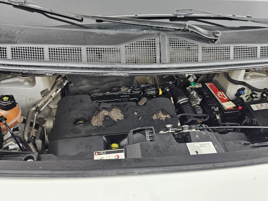 بيجو إكسبرت VAN 2022 