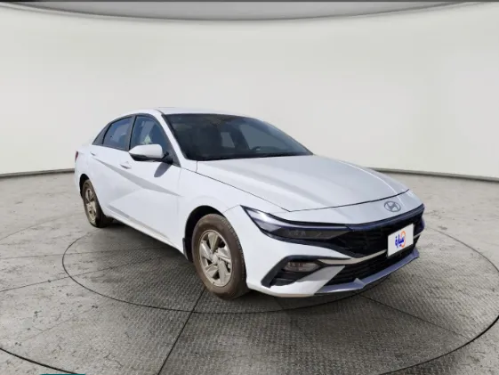 2024 Hyundai Elantra Fleet 
