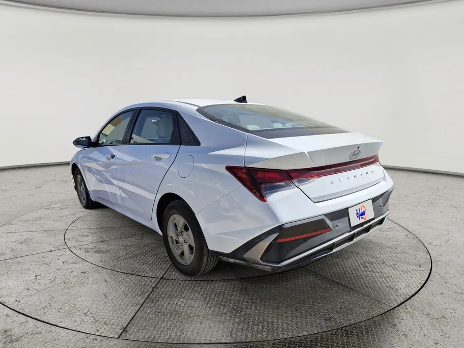 2024 Hyundai Elantra Fleet 