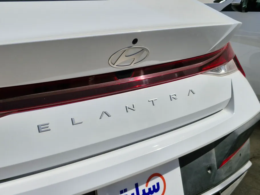 2024 Hyundai Elantra Fleet 