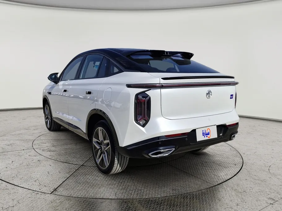2024 MG Whale Luxury 