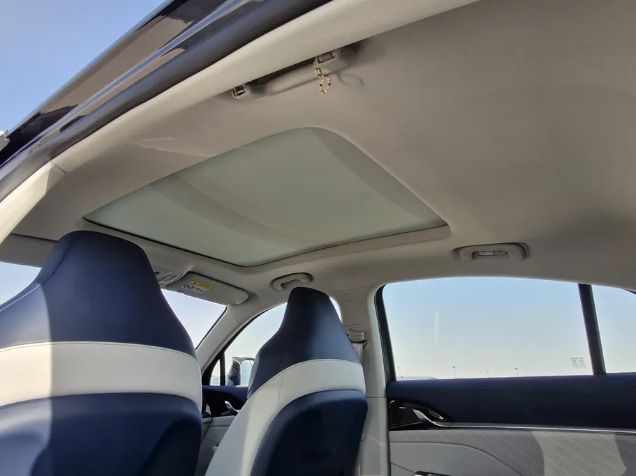 2024 MG Whale Luxury 