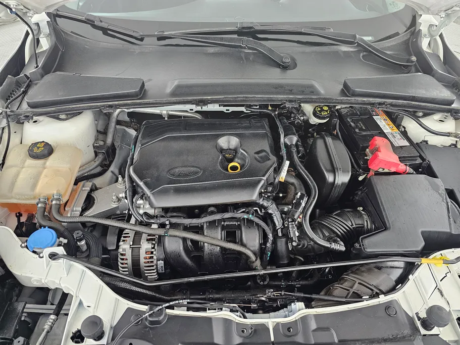 فورد إسكورت Ambiente 2020 