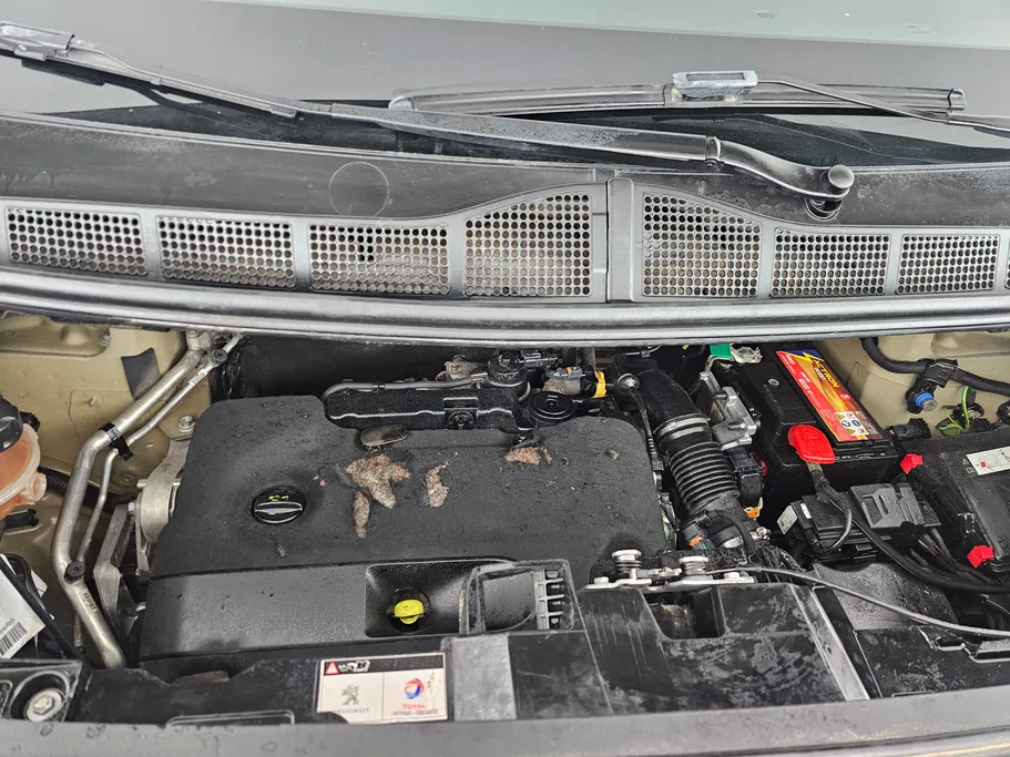 2023 Peugeot Expert VAN 