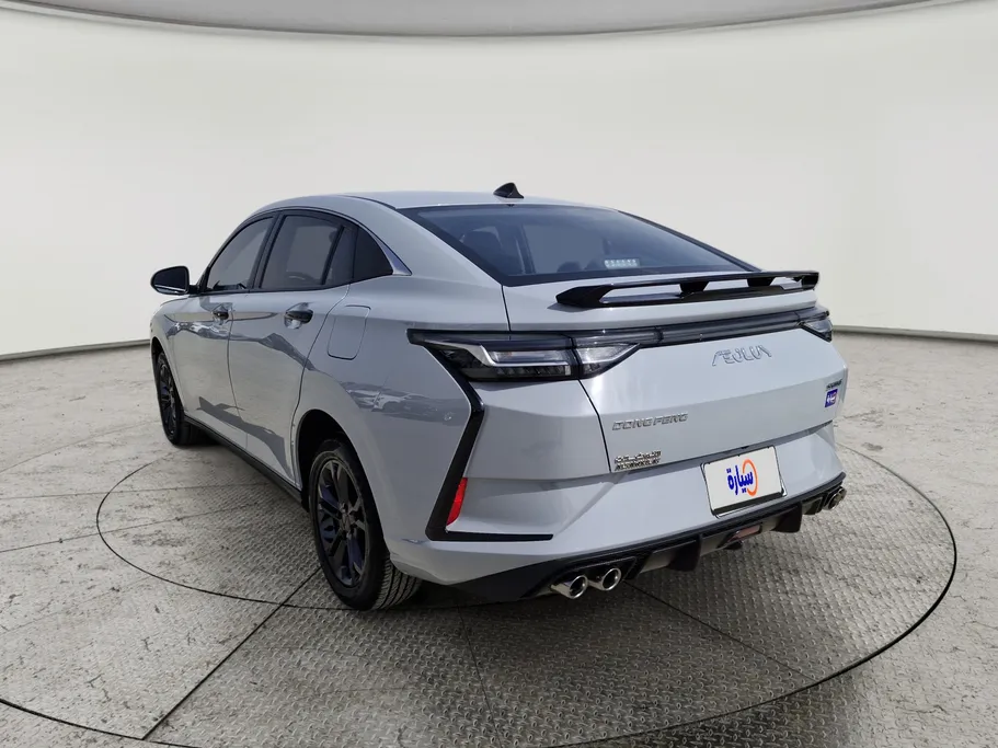 دونج فينج شاين E1 2025 