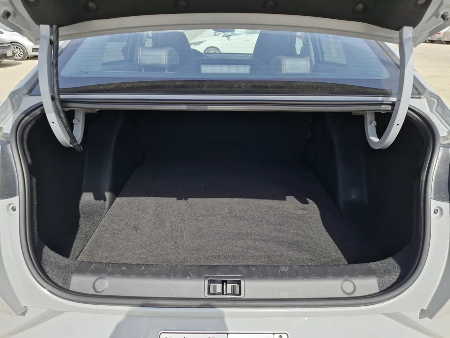 دونج فينج شاين E1 2025 