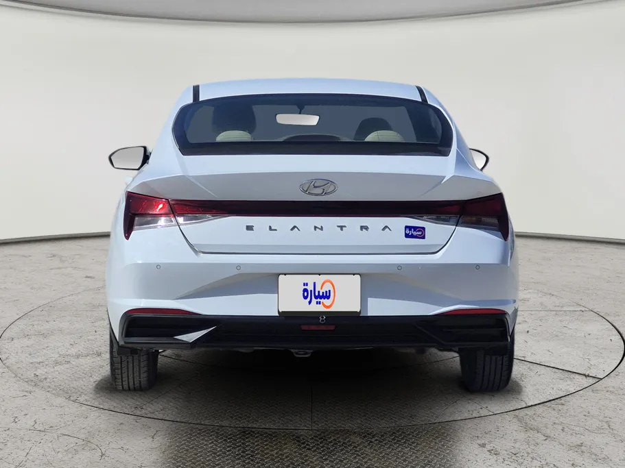 2021 Hyundai Elantra Fleet 
