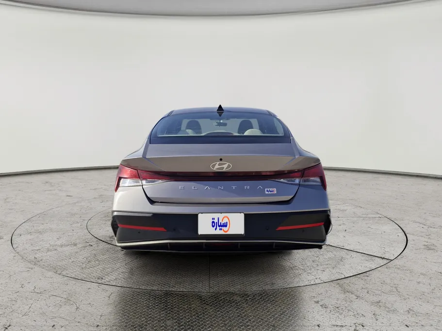 2024 Hyundai Elantra Fleet 