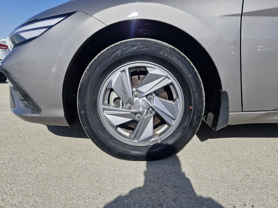 2024 Hyundai Elantra Fleet 