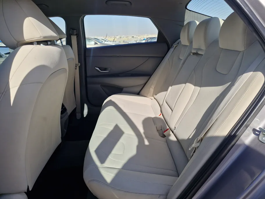 2024 Hyundai Elantra Fleet 