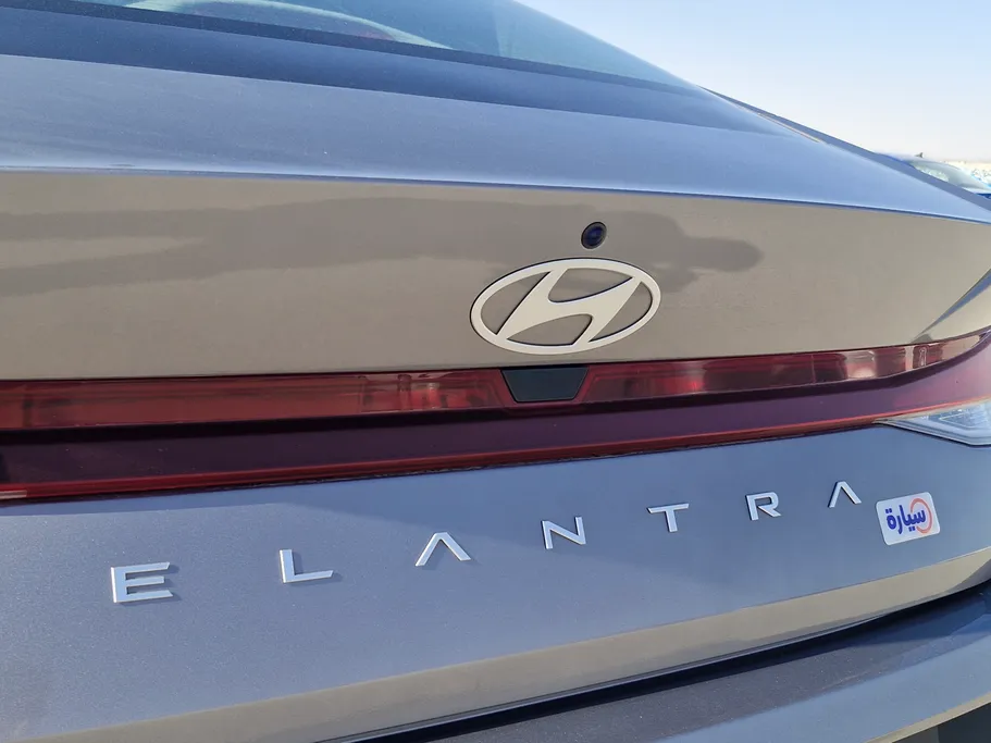 2024 Hyundai Elantra Fleet 