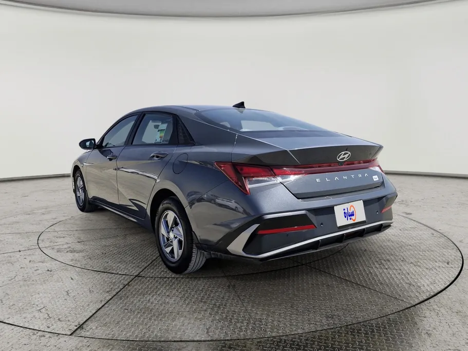 2024 Hyundai Elantra Fleet 