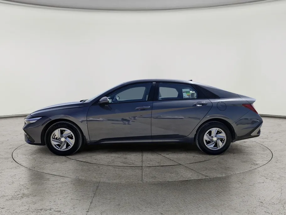 2024 Hyundai Elantra Fleet 