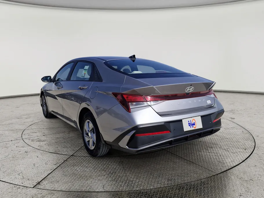 2024 Hyundai Elantra Fleet 