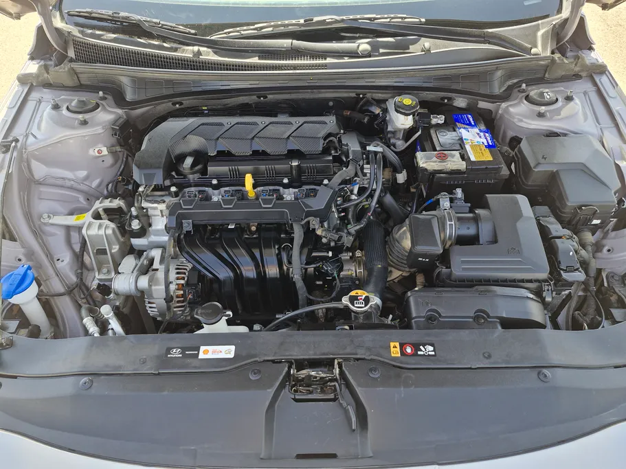 2024 Hyundai Elantra Fleet 